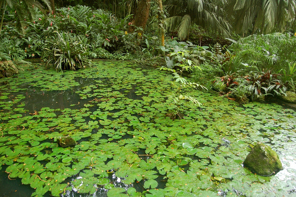 Garden of the Sleeping Giant