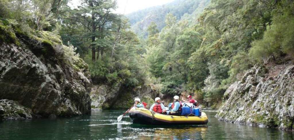 Native Forest of the Upper Mohaka