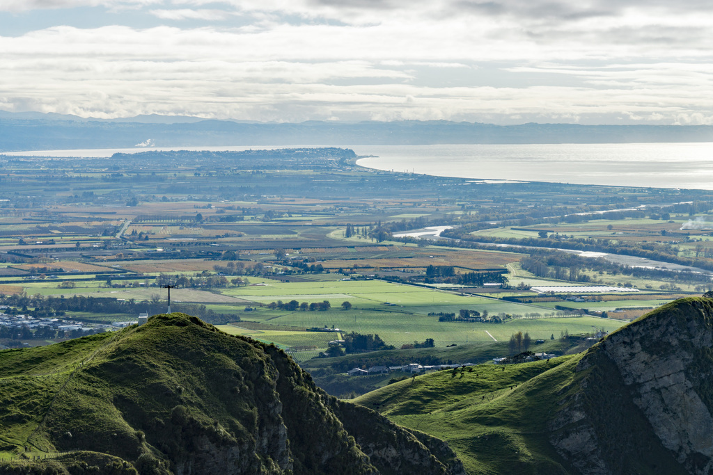 Napier from Te Mata Peak (35130405136)
