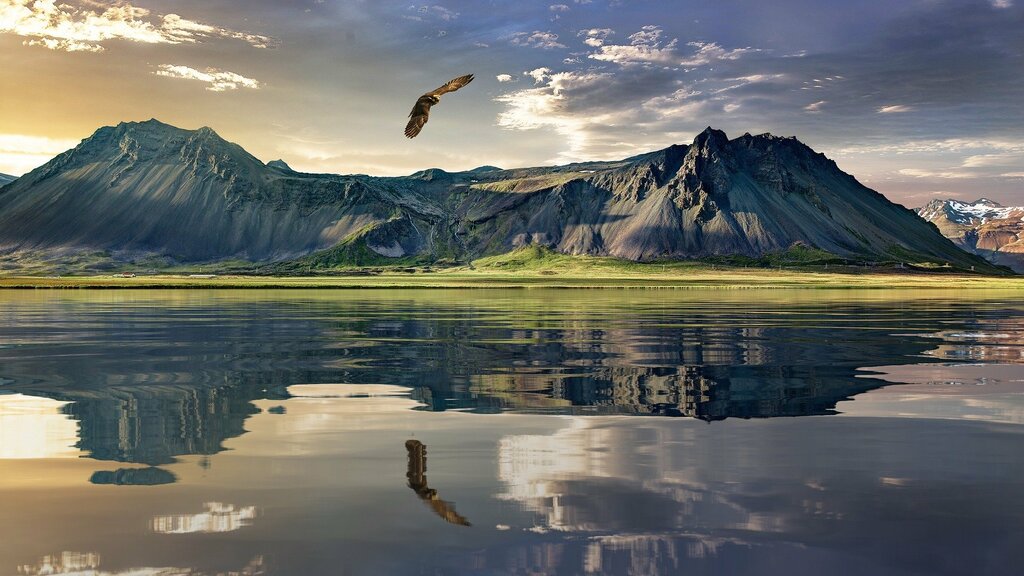 New Zealand landscape
