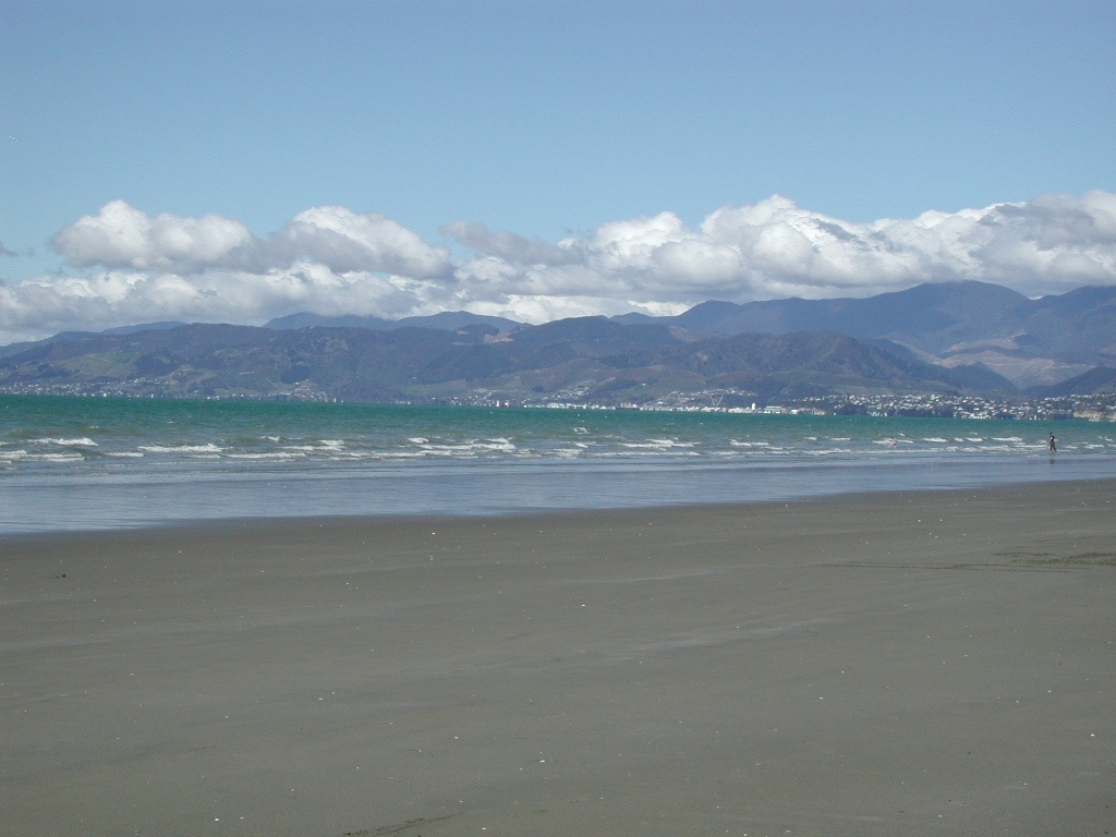 Beach on Rabbit Island near Nelson