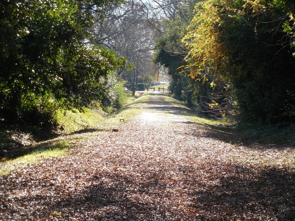 Trails