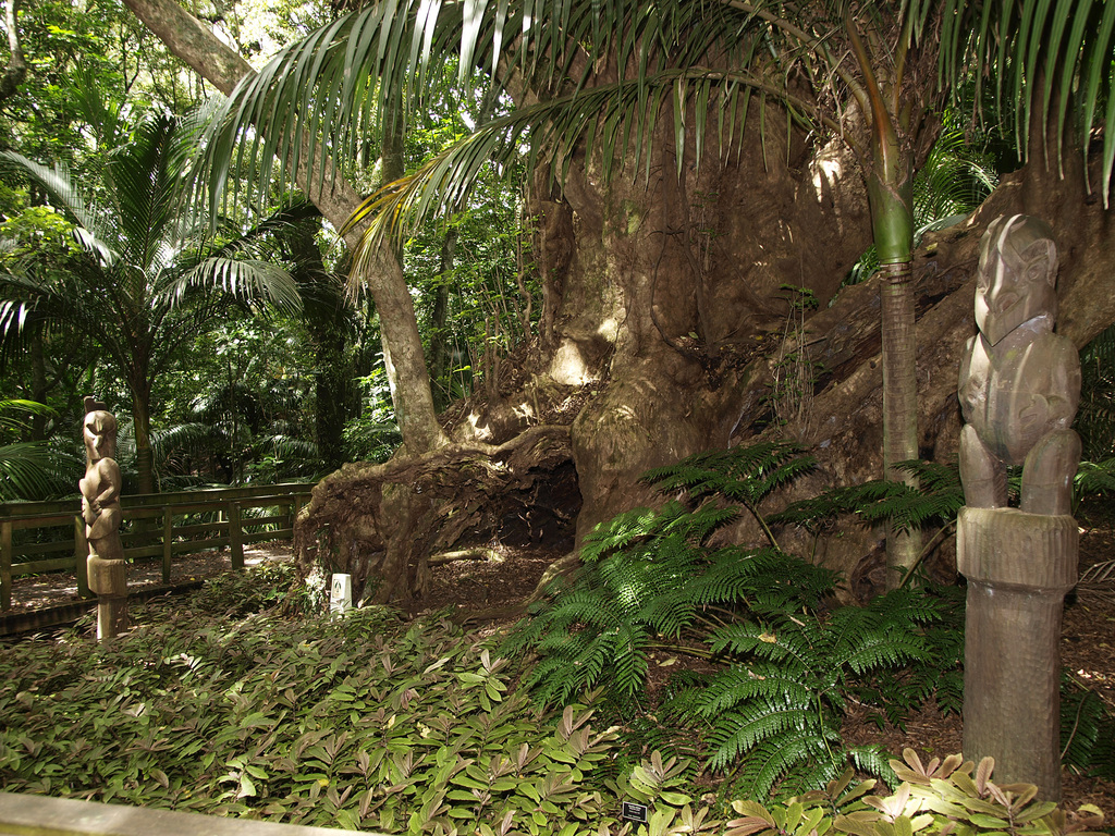 Best Things To Do In Opotiki, NZ Trip101