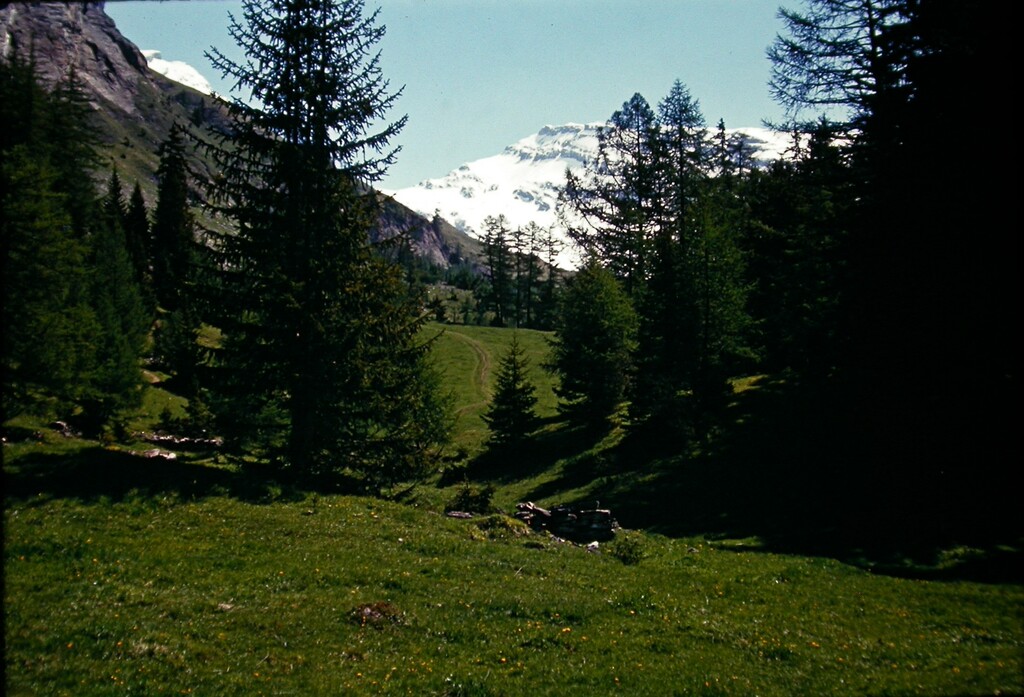 Around Leukerbad 06