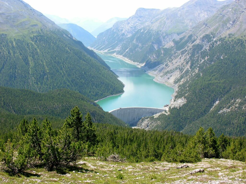 Swiss National Park 303