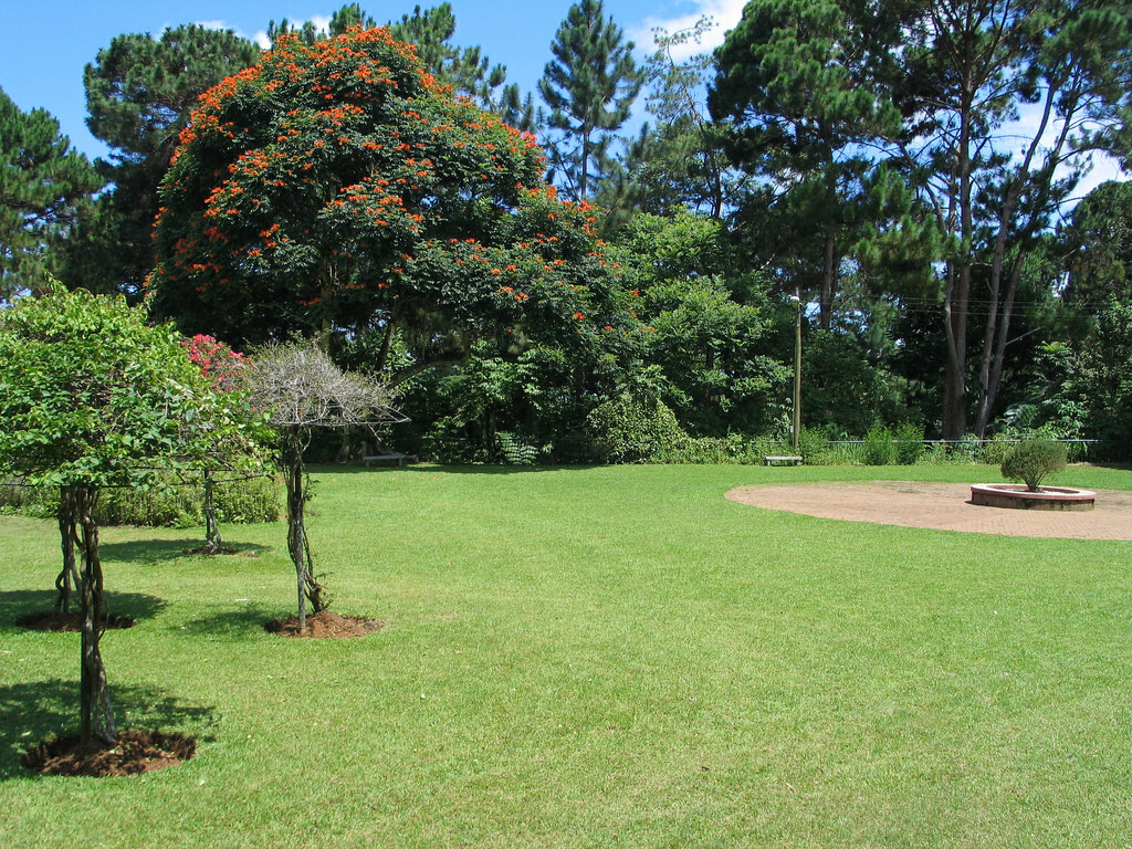 174_7451