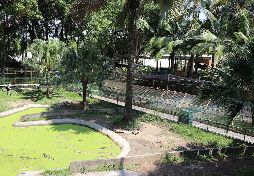 Davao Crocodile Park 01