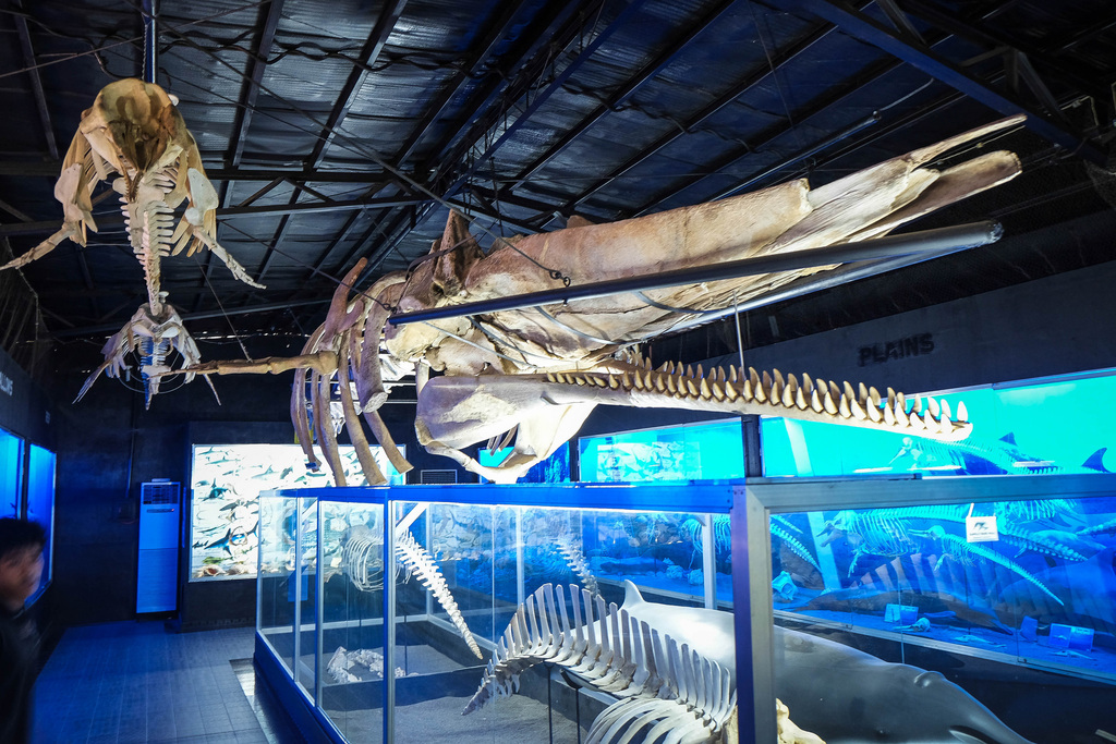 D' Bone Collector Museum Inc., Davao City, Philippines