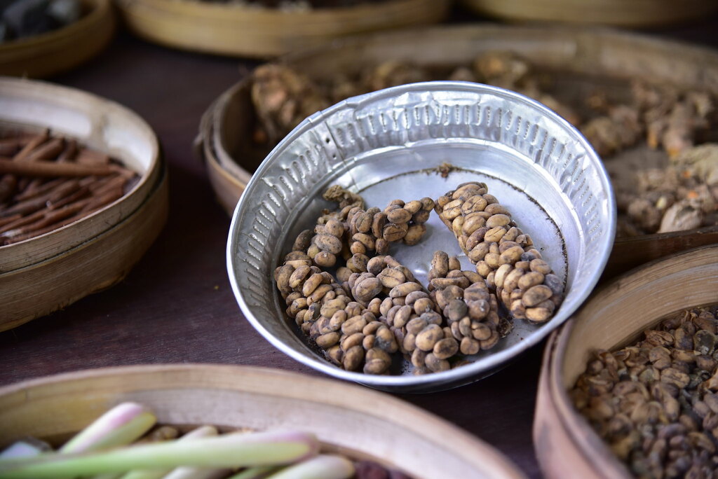 Cluster of coffee beans as excreted by the animal, prior to clearing and roasting