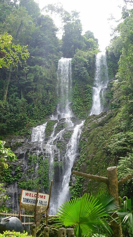 Tamaraw Falls