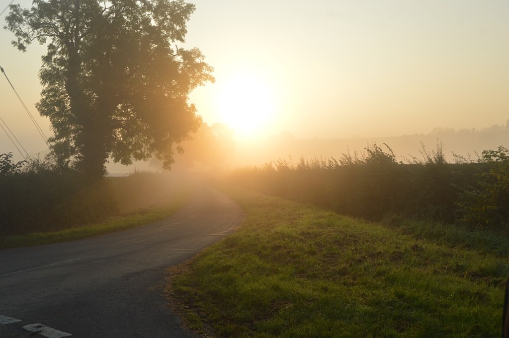 Morning Walk Outdoors
