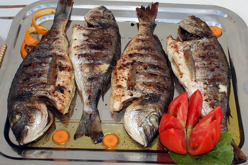 Grilled fish