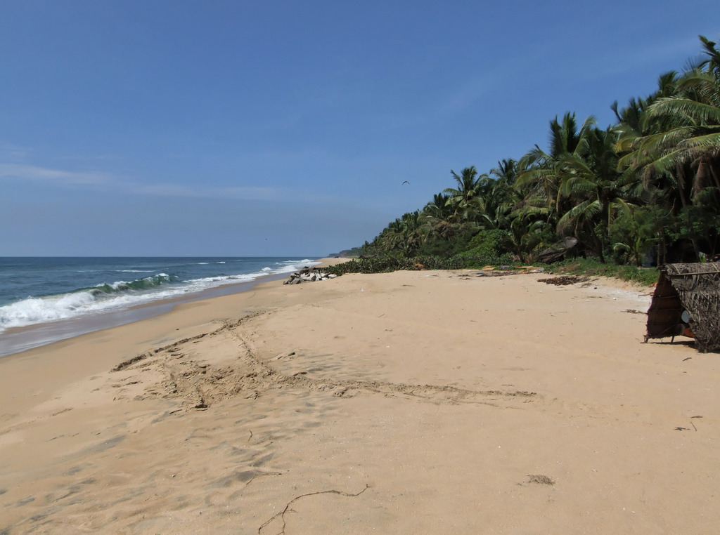 Road to Golden Island, Kerala, India