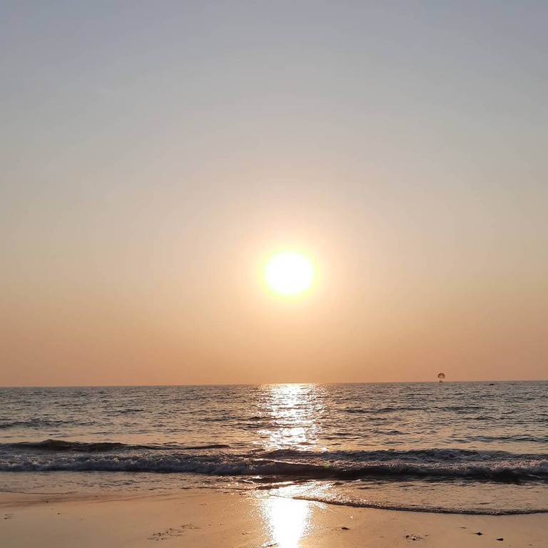 things to do in candolim india | dolphin watching at sinquerim beach