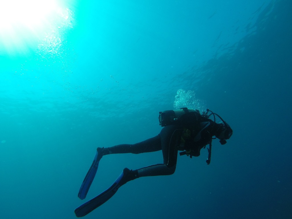 Plunge in!