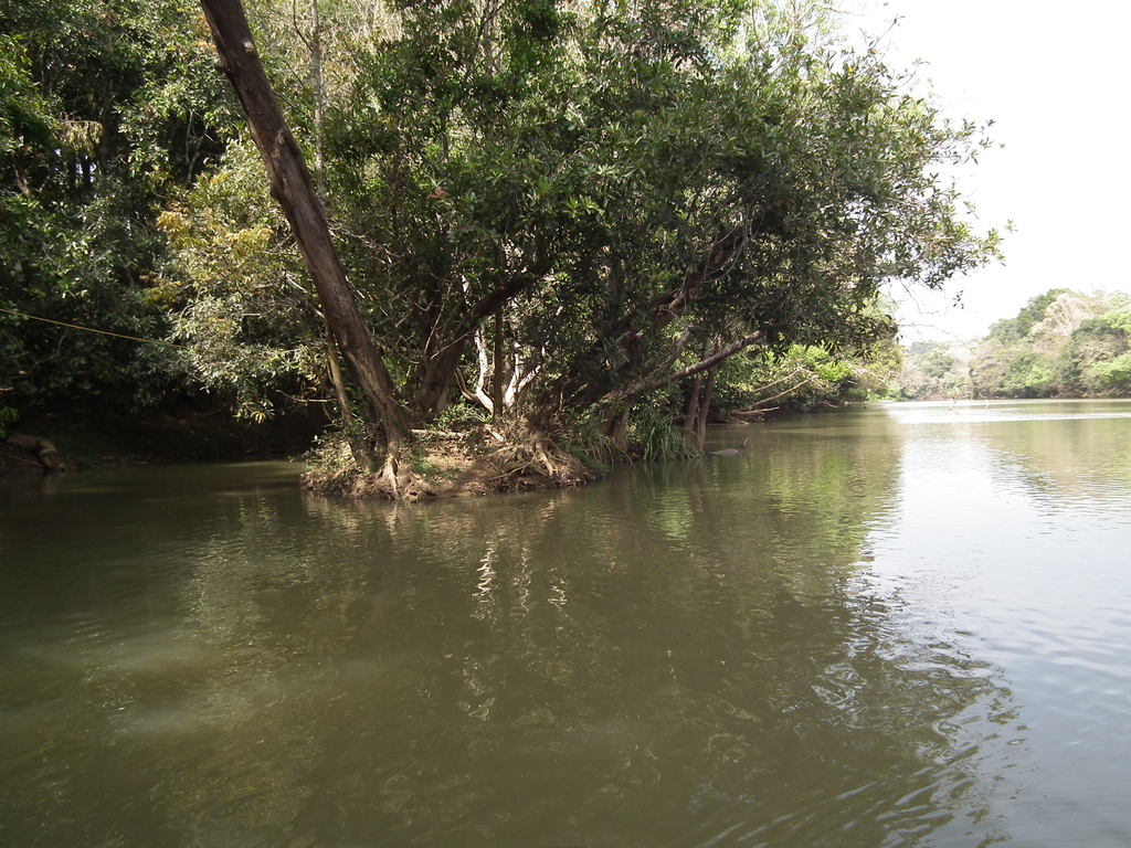 Snap from Kuruvadweep area 9954