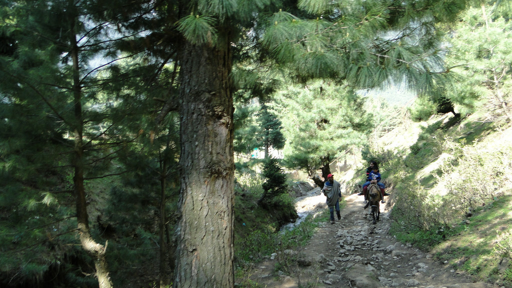 Pahalgam - Starting the pony ride to Baisaran meadows