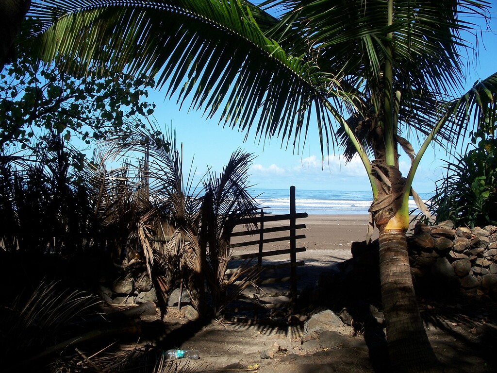Anjarle beach in Konkan near Dapoli , Maharashtra,India