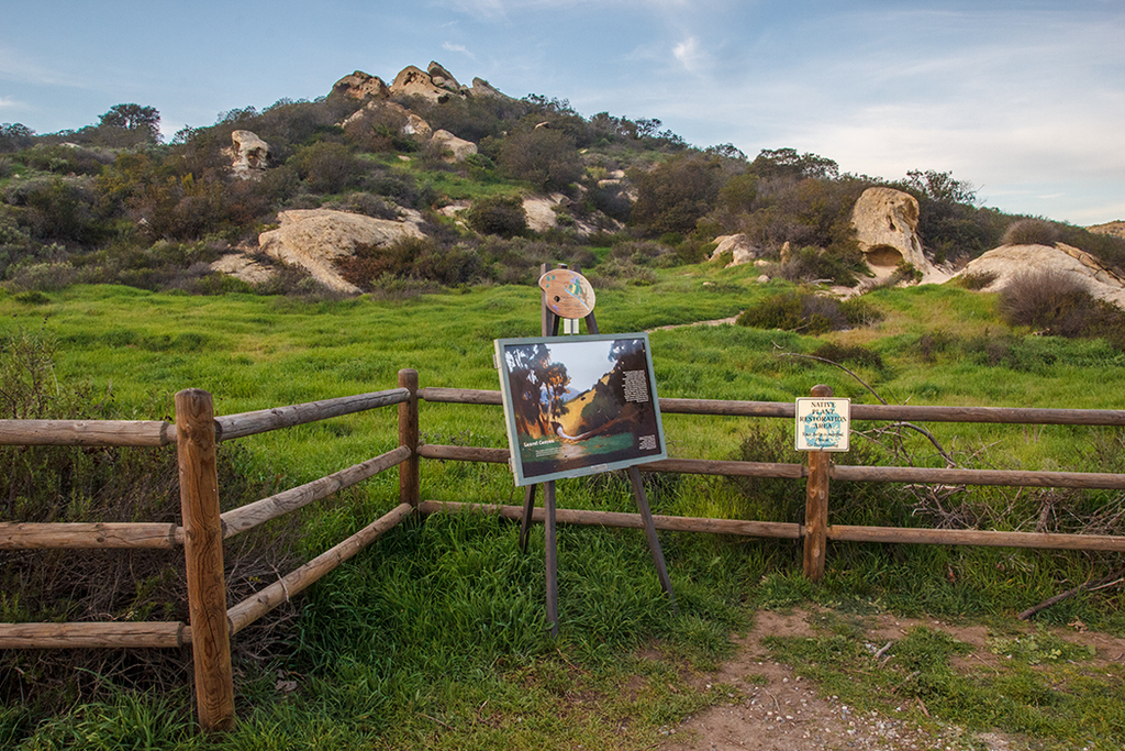 Laguna Coast Wilderness Park