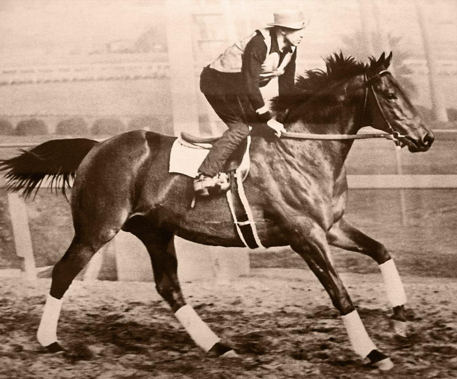 Seabiscuit workout with GW up
