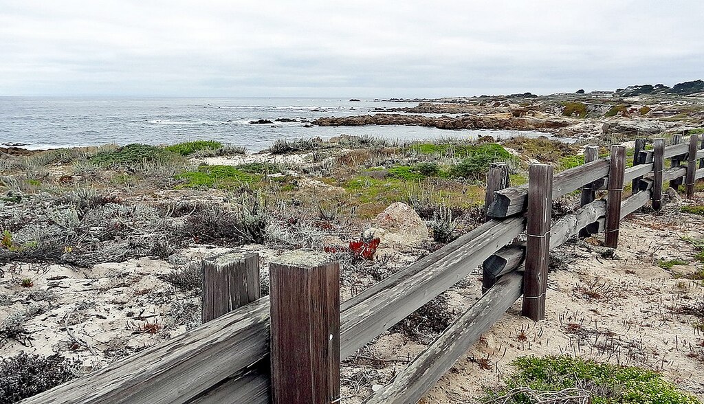  Asilomar State Beach 