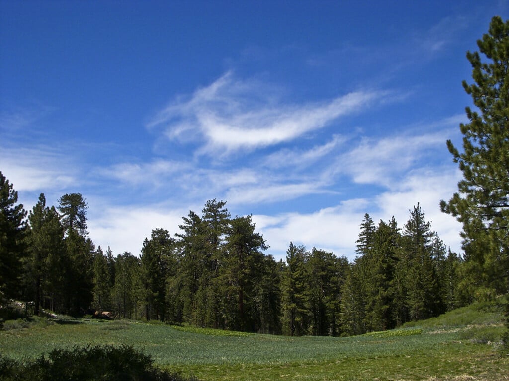 Los Padres National Forest (4 of 6)