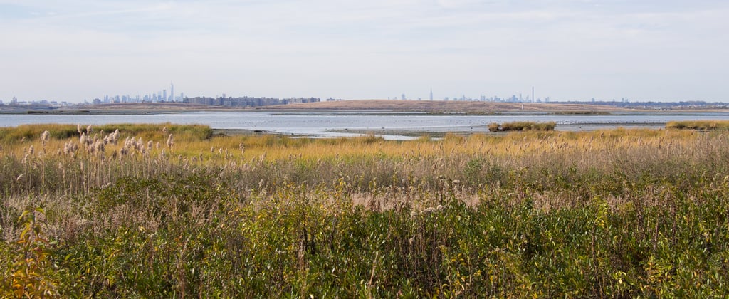 Jamaica Bay Wildlife Refuge