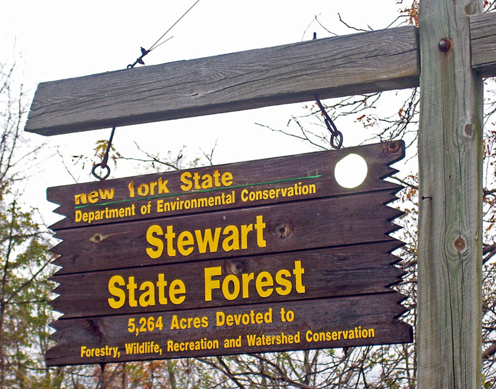 Stewart State Forest sign