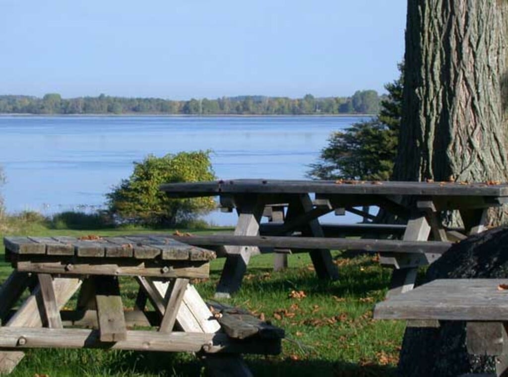 Saint Lawrence River in Robert Moses State Park - Thousand Islands 