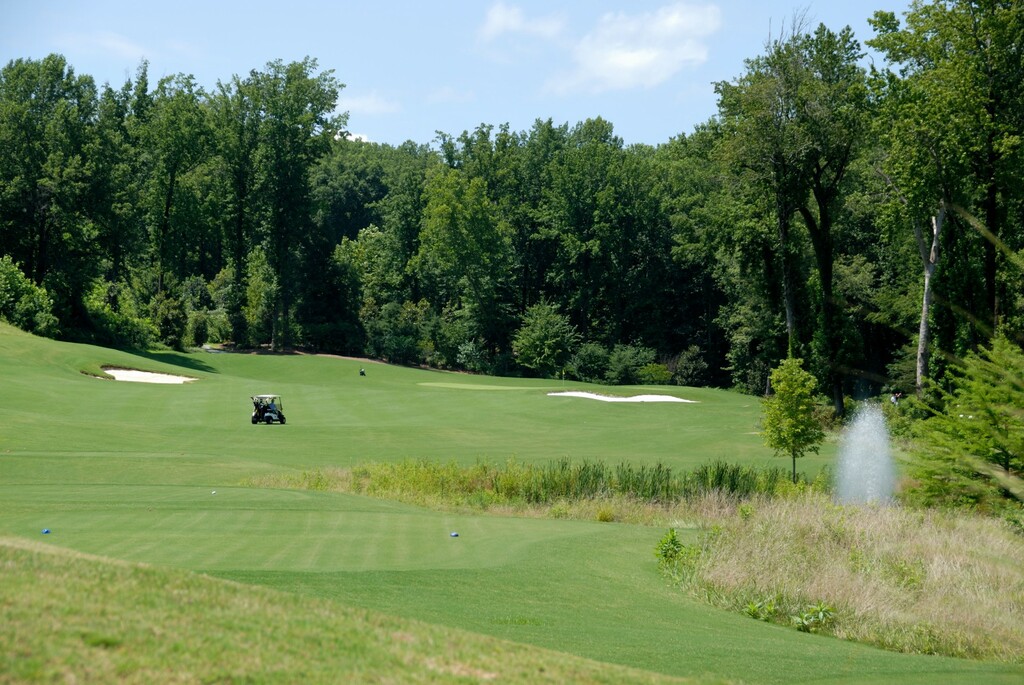 Gold course