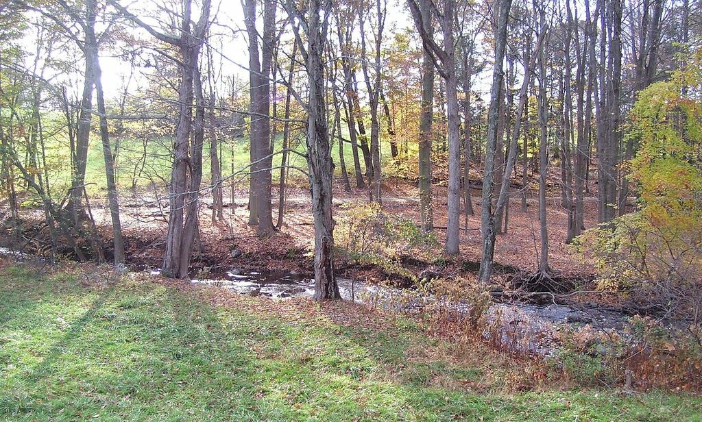 Rockefeller State Park Preserve