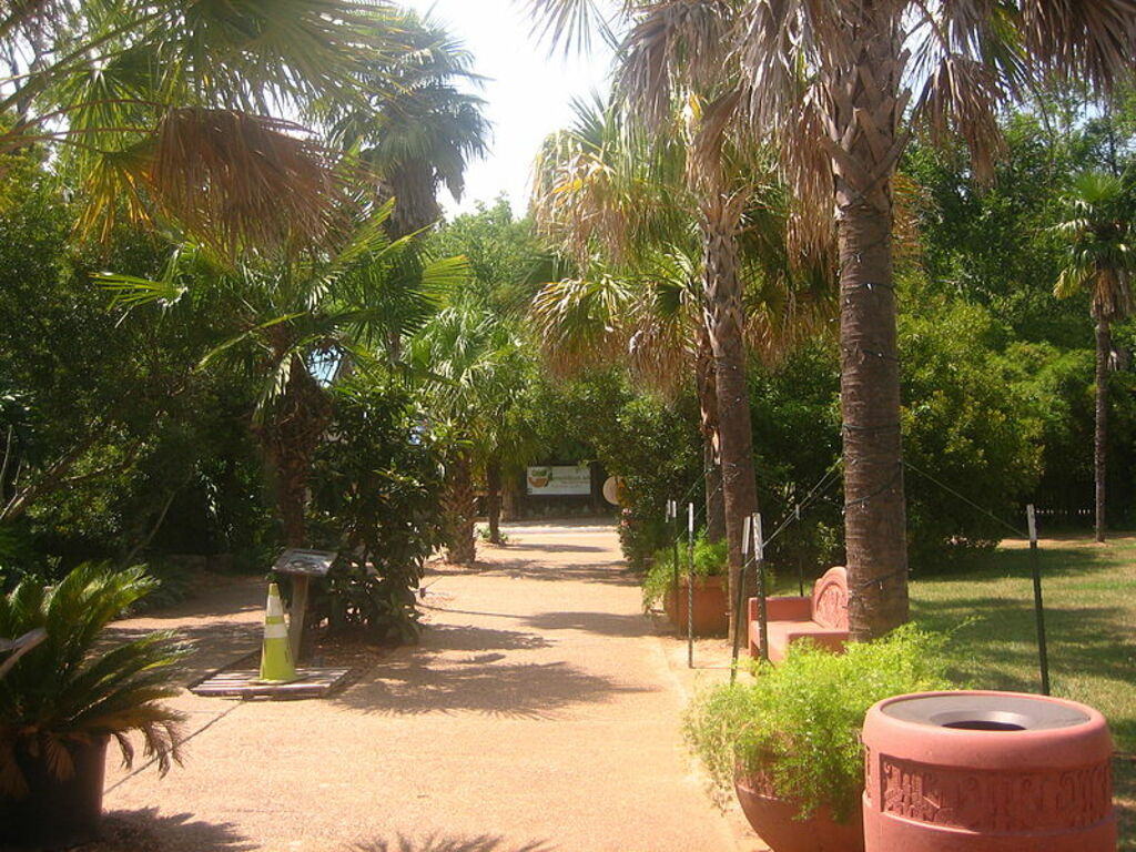 Scene at Alexandria (LA) Zoo Picture 299