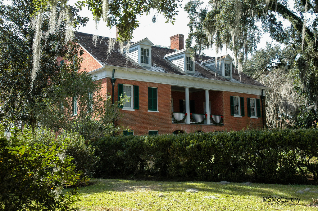 Shadows on The Teche--3