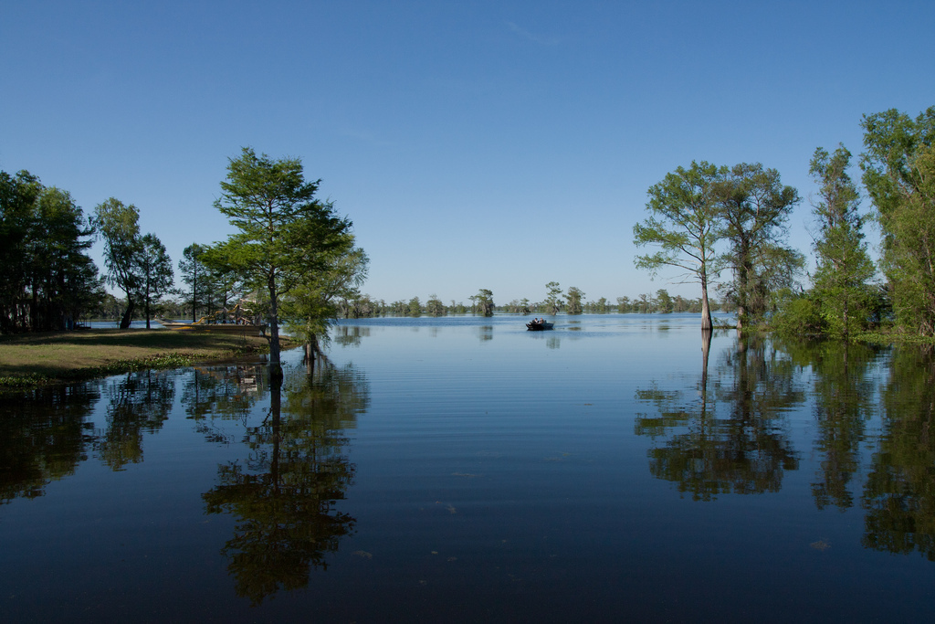Louisiane: le bassin d'Atchafalaya