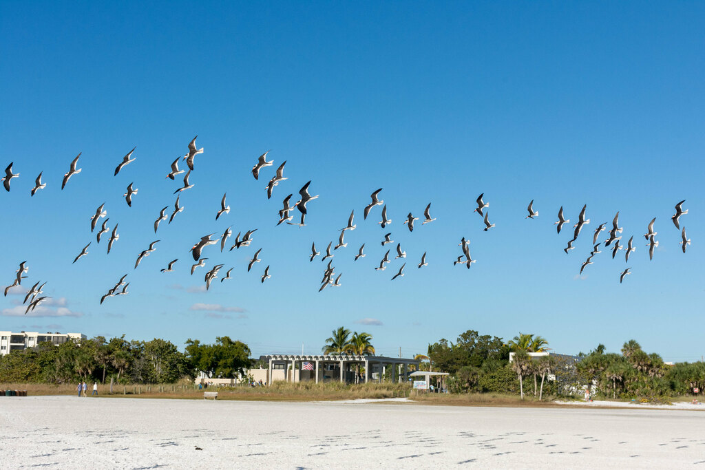 Siesta Key Beach