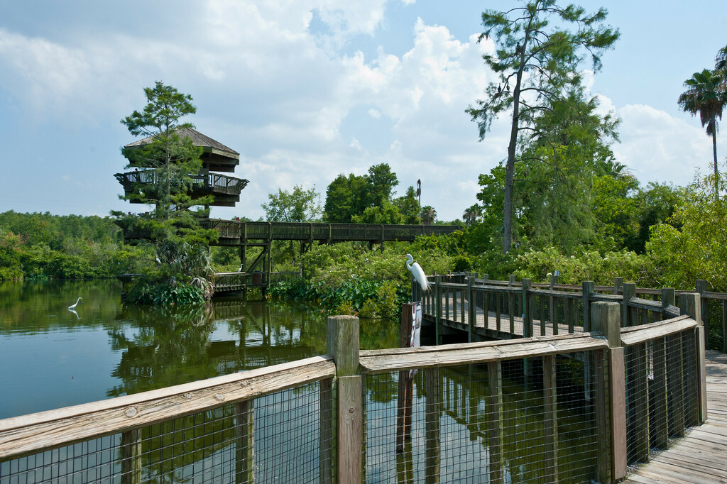 Gatorland