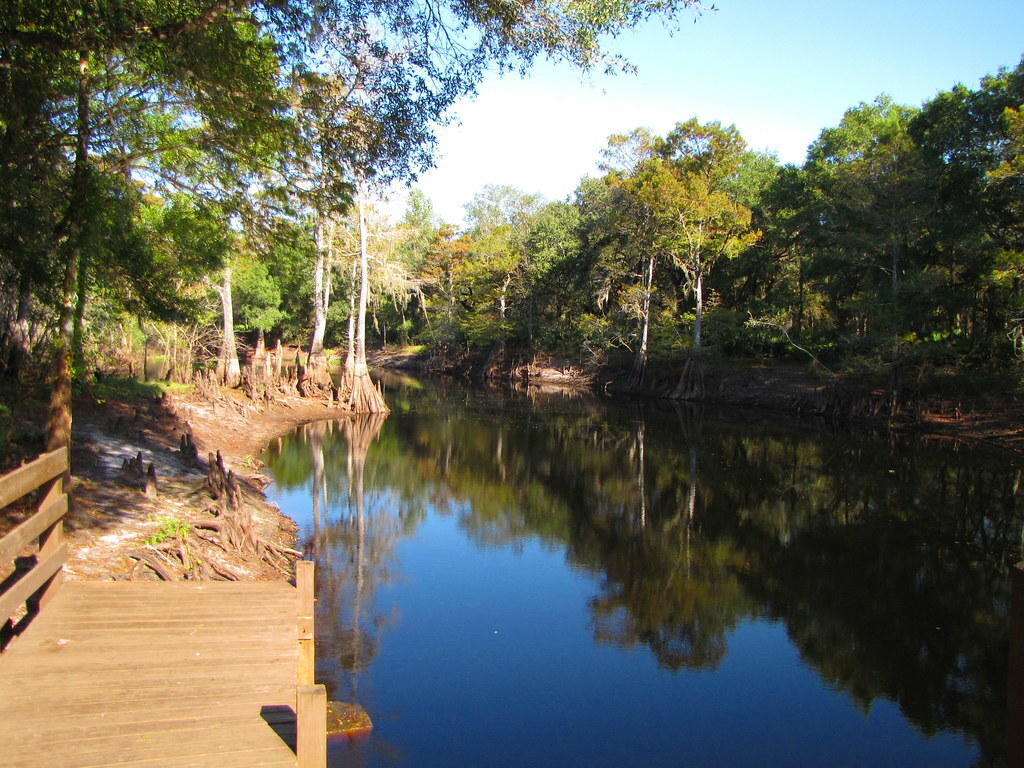 Withlacoochee River facing north