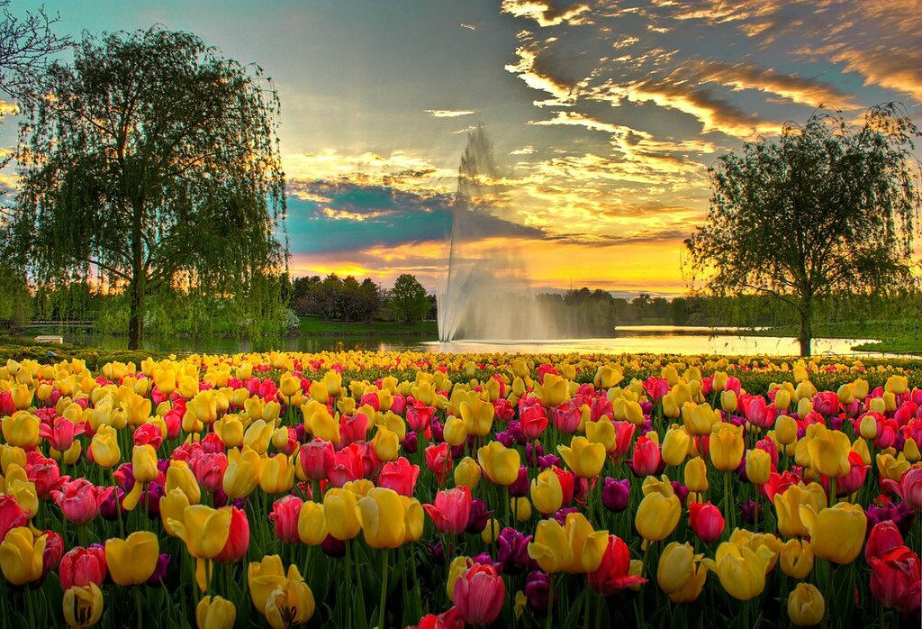 A Colorful Evening (4569424129)