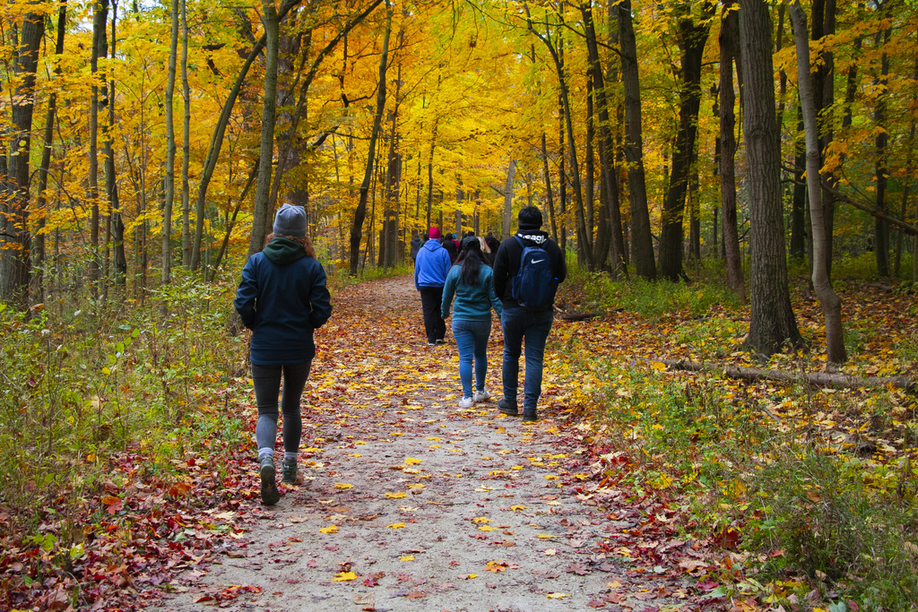 Guided Hike Through Harms Woods Natural Area Glenview Illinois 10-26-19_4275
