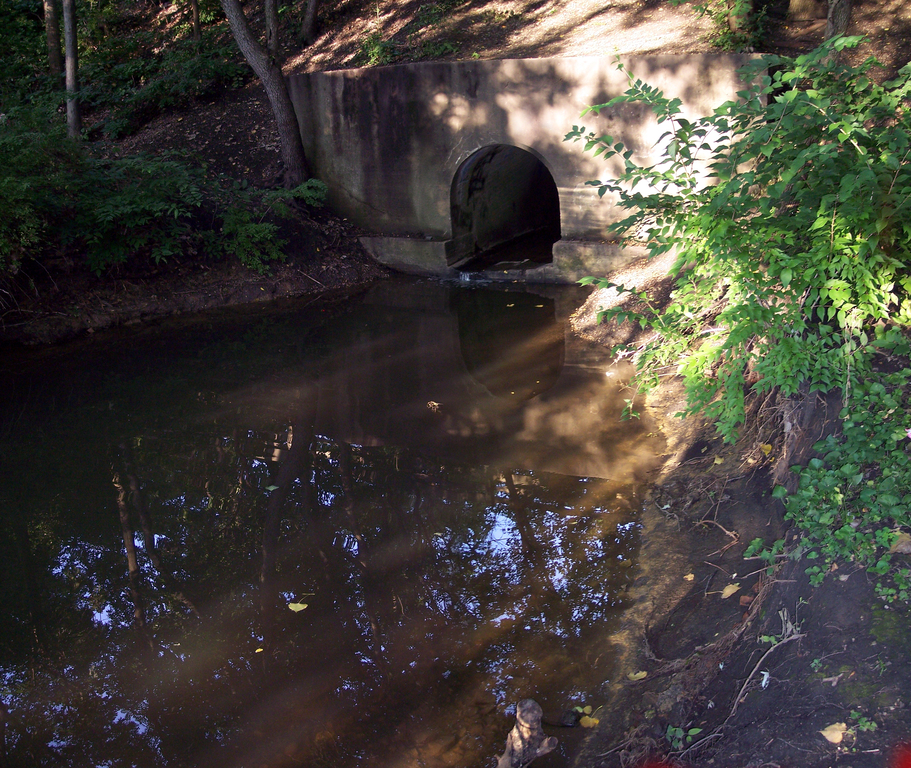 Hidden Creek enters the Nature Sanctuary