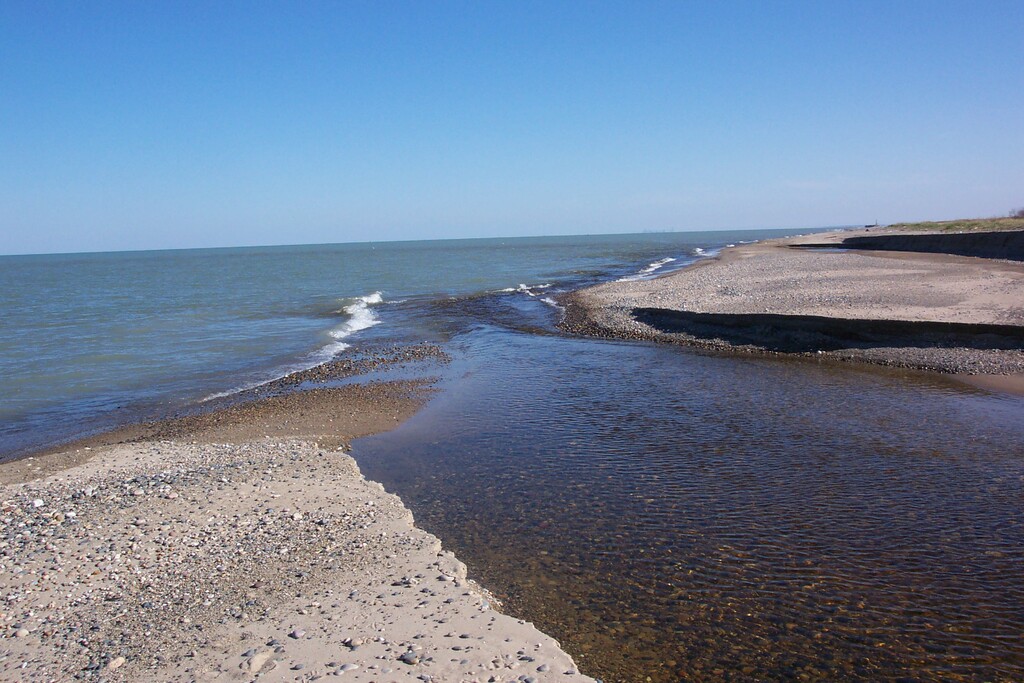 Picture_0915