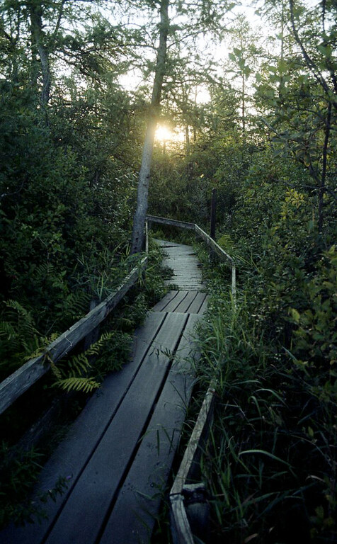 Volo Bog