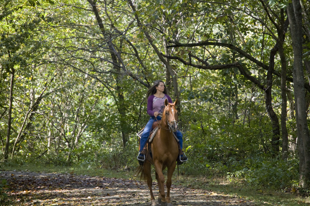 Horseback Riding at New River Trail STate Park (8004396549)