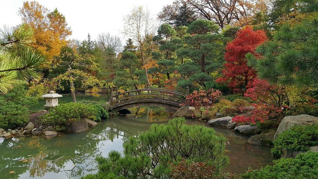 things to do in roscoe illinois | anderson japanese gardens