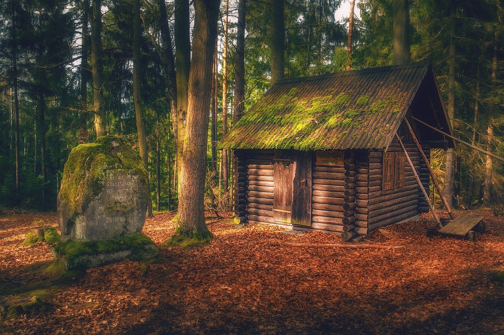 Forest Lodge Hut Log