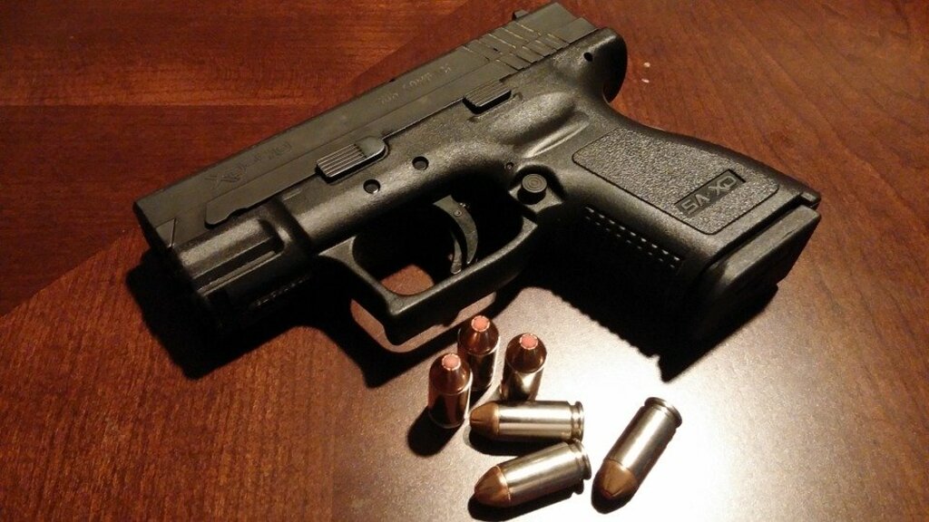 Handgun Pistol Firearms