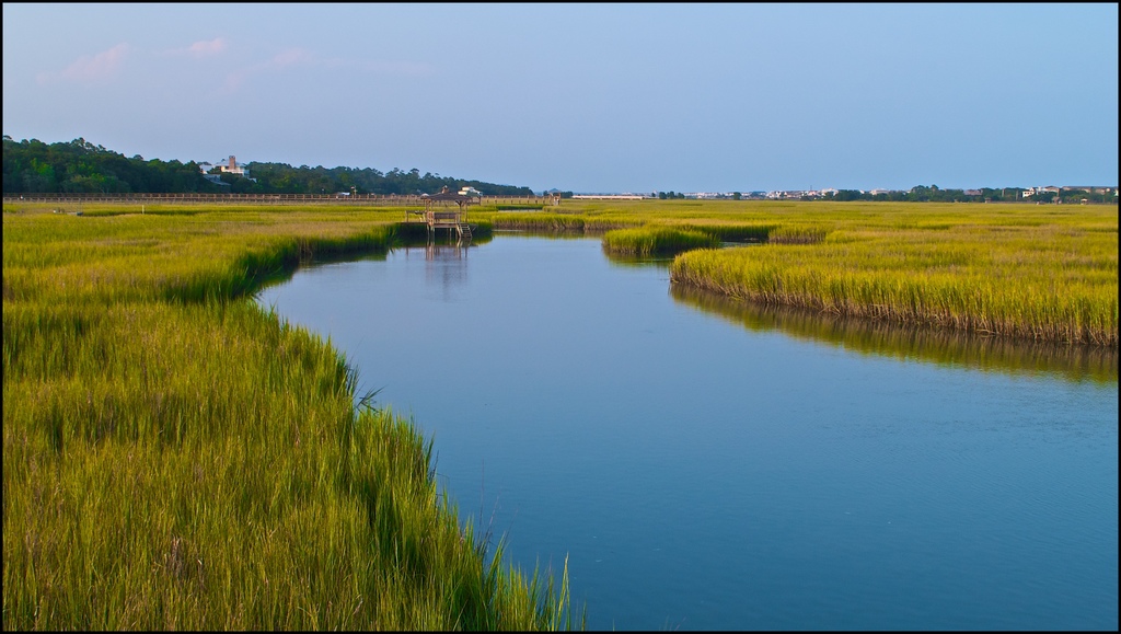 Pawleys Island Estuary