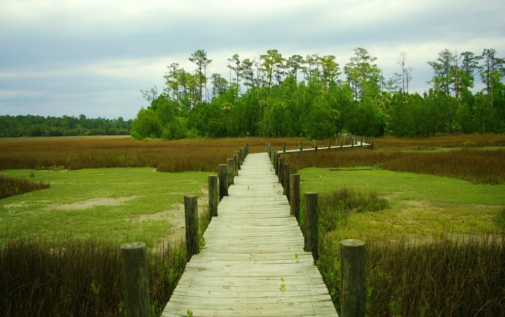 Palmetto Islands Park Boardwalk 2