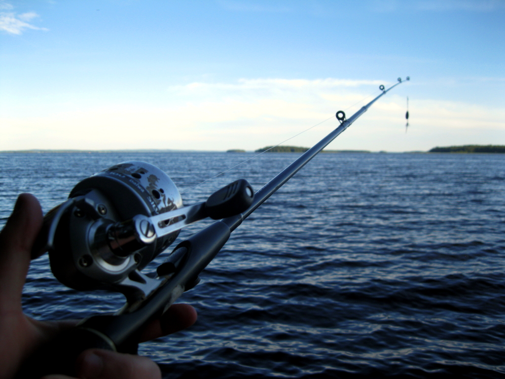 Hand Holding Fishing Rod 01
