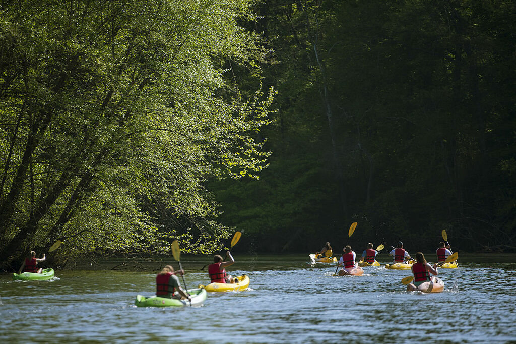 USNWC Flatwater Kayaking on the Catawba River